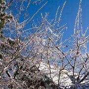 2007-01-16_16147_WTA_5DM1