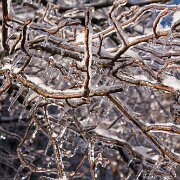 2007-01-16_16191_WTA_5DM1