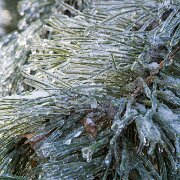 2007-01-16_16197_WTA_5DM1