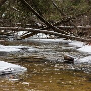 2009-02-15_00548_WTA_5DM2