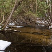 2009-02-15_00558_WTA_5DM2