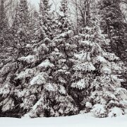 2011-02-09_15-54_07752_WTA_5DM2