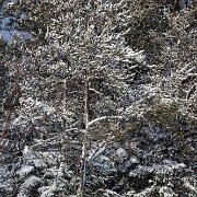 2011-02-09_16-28_07766_WTA_5DM2