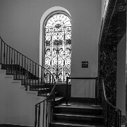 2022-01-16_055570_WTA_R5 Detroit Institute of Arts