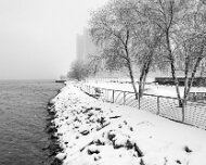 Detroit Snow Detroit Snow