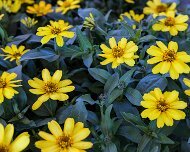 2017-05-13_114941_WTA_5DM4 Eastern Market