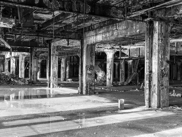Fisher Plant 21
