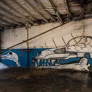 2014-03-09_08-36_08164_WTA_5DM3 The Detroit Museum of Animal Art