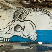 2014-03-09_08-50_08326_WTA_5DM3 The Detroit Museum of Animal Art