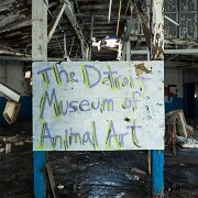 2014-03-09_08-55_08361_WTA_5DM3 The Detroit Museum of Animal Art