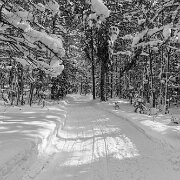 2013_02_09-WTA-5DM3-7690-Edit-2 Snowmobile Trails near Paradise, Michigan