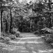 WTA_IMG_2011_10_12 - 1116 - bw-2 Crisp Point