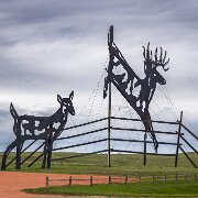 2024-05-19_469820_WTA_R5 2024 Road Trip - Day 48 Theodore Roosevelt National Park to Fargo North Dakota