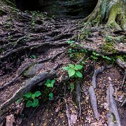2017-04-28_14657_WTA_5DM4-2 Hocking Hills Ohio State Park
