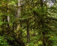 2024-05-01_435910_WTA_R5 2024 Road Trip - Day 30 Beaver Creek Falls