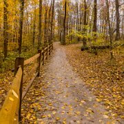 2018-11-03_56413_WTA_5DM4 Buttermilk Falls Between 1931 and 1956 the property was owned by Fred McFeely, grandfather of Fred Rogers of children's television fame. McFeely, a wealthy...