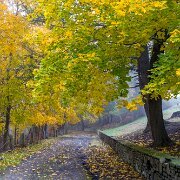 2018-11-04_56755_WTA_5DM4 Grandview Cemetery is a cemetery located at 801 Millcreek Road in Johnstown, Pennsylvania. The cemetery association that operates Grandview was founded in 1885...