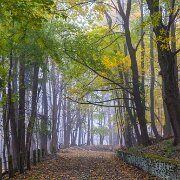 2018-11-04_56791_WTA_5DM4 Grandview Cemetery is a cemetery located at 801 Millcreek Road in Johnstown, Pennsylvania. The cemetery association that operates Grandview was founded in 1885...