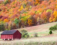 2020-10-24_02009_WTA_R5 East Broad Top Trains