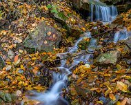 2018-11-03_56682_WTA_5DM4-Edit Woodland Waterfall