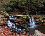 2020-10-23_01011_WTA_R5 Ricketts Glen State Park, Luzerne, Sullivan, and Columbia counties, Pennsylvania