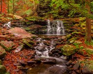Waterfall Ricketts Glen State Park, Luzerne, Sullivan, and Columbia counties, Pennsylvania