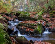 2020-10-23_01179_WTA_R5 Ricketts Glen State Park, Luzerne, Sullivan, and Columbia counties, Pennsylvania