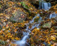 2018-11-03_56682_WTA_5DM4 Woodland Waterfall