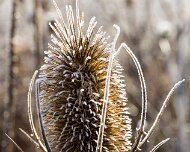 2018-11-04_56827_WTA_5DM4