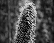 2018-11-04_56891_WTA_5DM4