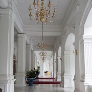 2008-12-03_33608_WTA_5DM1